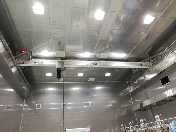 蘇州無(wú)塵室起重機(jī)訂制